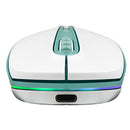 Mouse Inalámbrico Ergonómico Lumier