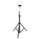 Aro de luz led 10" con base expandible y tripié para Streaming Lumeria | PERFECT CHOICE