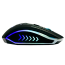 Mouse Gamer 4800 DPI Ajustable 6 Botones LED RGB Dinasty | VORTRED